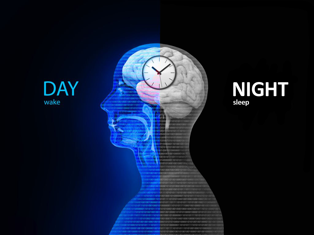 How to Reset Your Circadian Clock